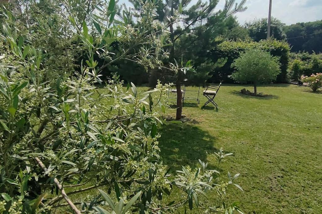 Les Lys Jolie Suite Parentale Privative Deux Adultes Avec Sdd Pertheville-Ners المظهر الخارجي الصورة